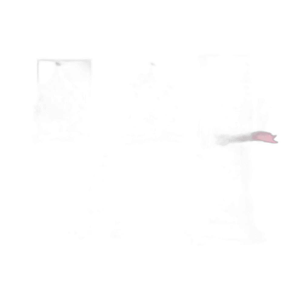 BOLSA CELOFAN 5X20 1100