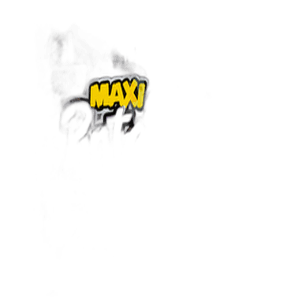 PALETA MAXI PINTACOLOR 1250 LA ROSA