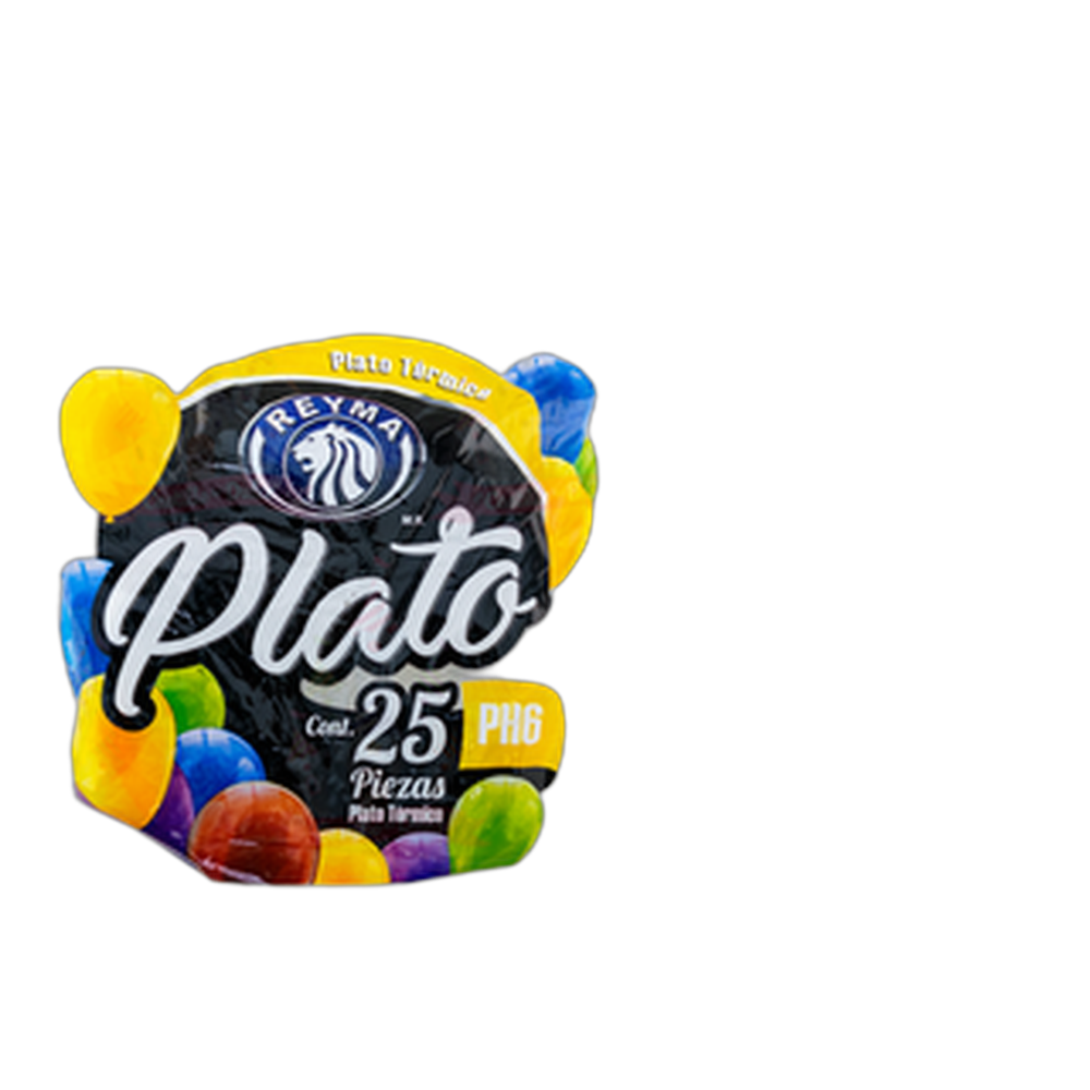 PLATO POZOLERO PH6 2025 REYMA