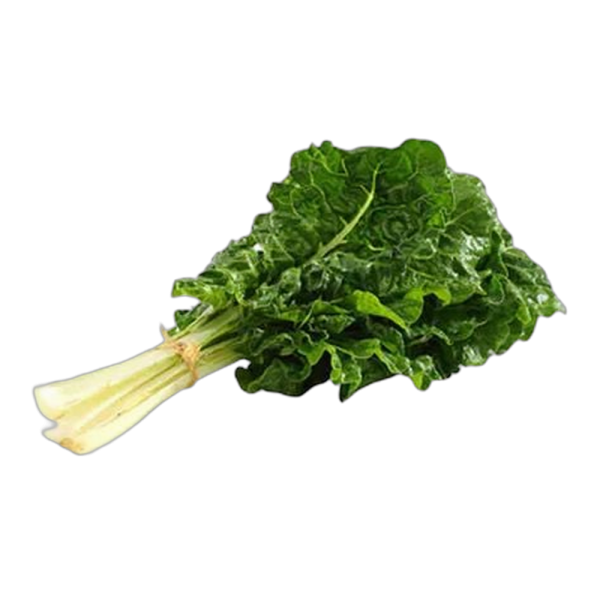 Acelga_Manojo Acelga_Manojo