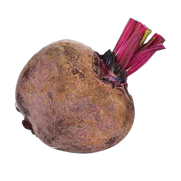 Betabel_Kg Betabel_Kg