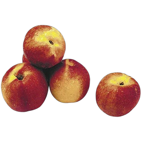 Durazno_Prisco_Kg Durazno_Prisco_Kg