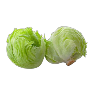 Lechuga Romana 1 pza