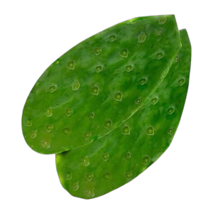 Nopal Entero Kg